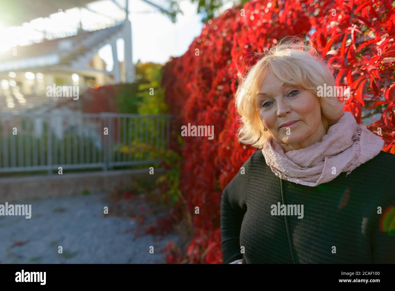 Ältere Frau, die vor roten, kriechenden Pflanzen posiert, die den Zaun bedecken Stockfoto