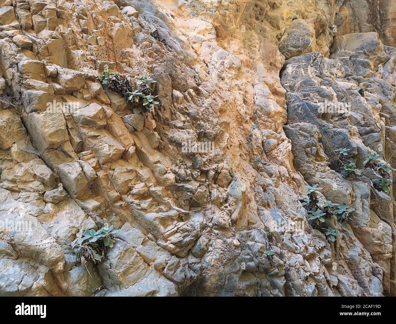 Eine Nahaufnahme der felsigen Struktur, die in Samaria gefunden wurde Schlucht Stockfoto