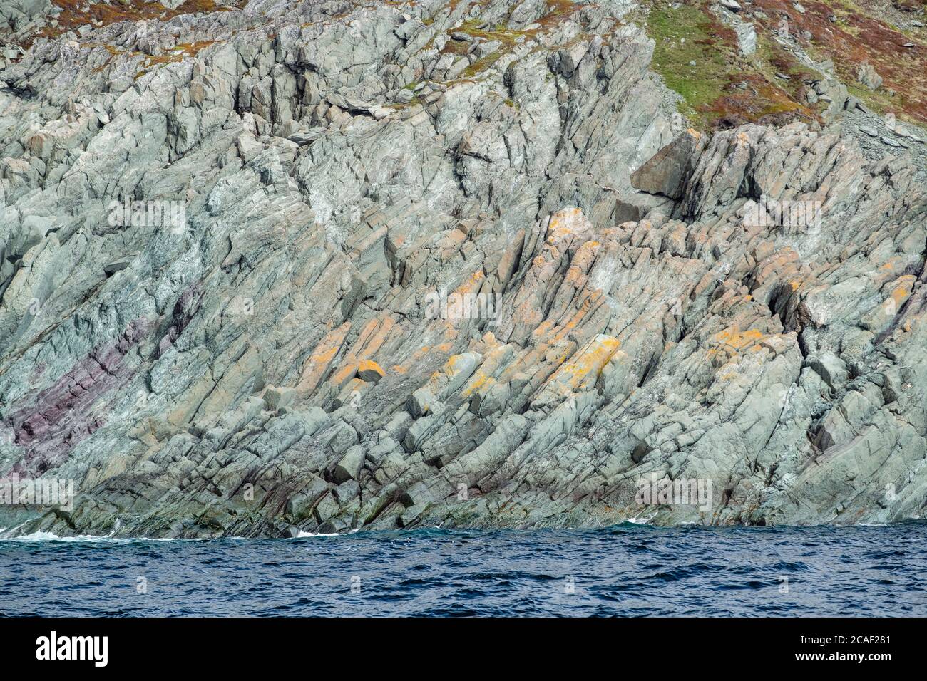 Küstenfelsen, in der Nähe von St. Anthony, Neufundland und Labrador NL, Kanada Stockfoto