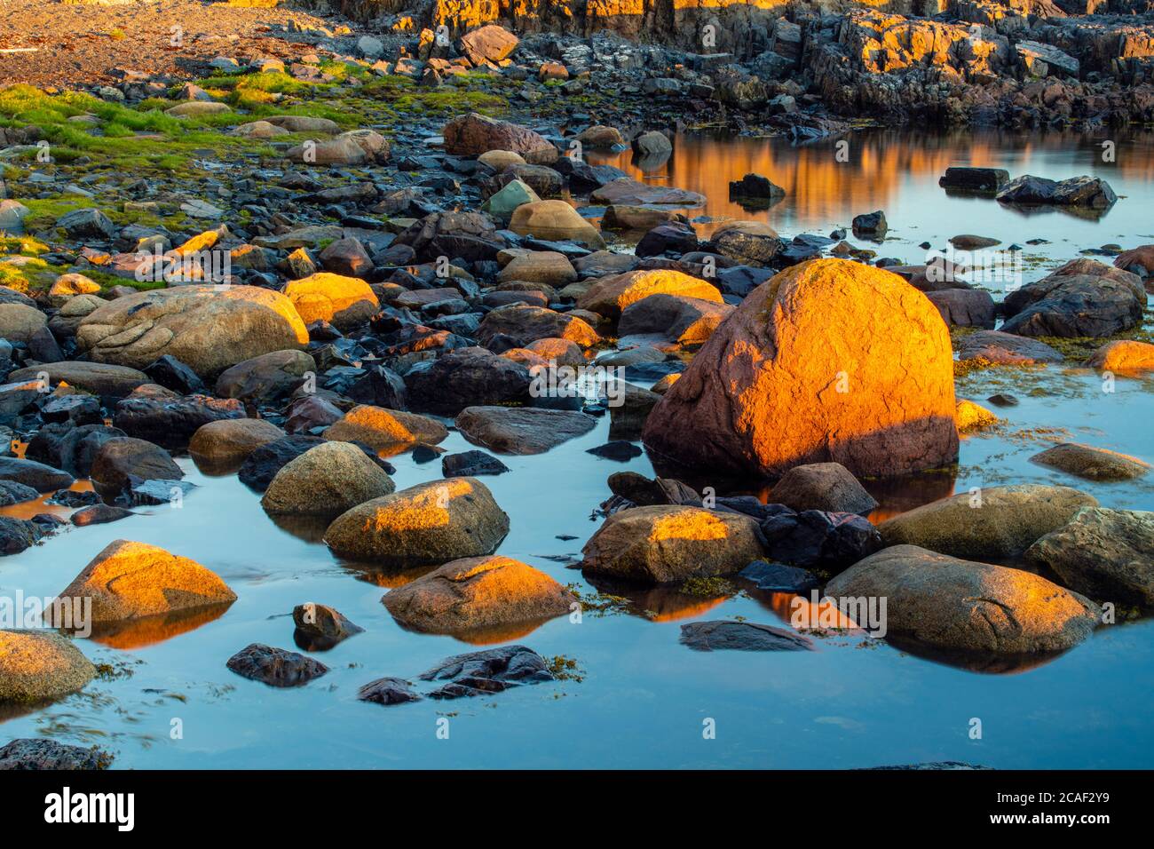Tidepools und Felsen bei Morgendämmerung , Fogo, Neufundland und Labrador NL, Kanada Stockfoto