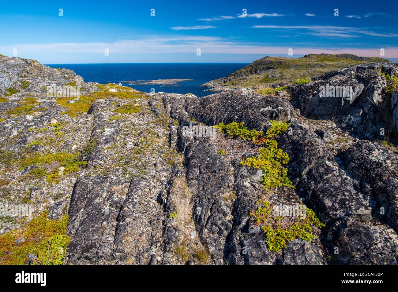 Brimstone Head Coastline, Fogo, Neufundland und Labrador NL, Kanada Stockfoto