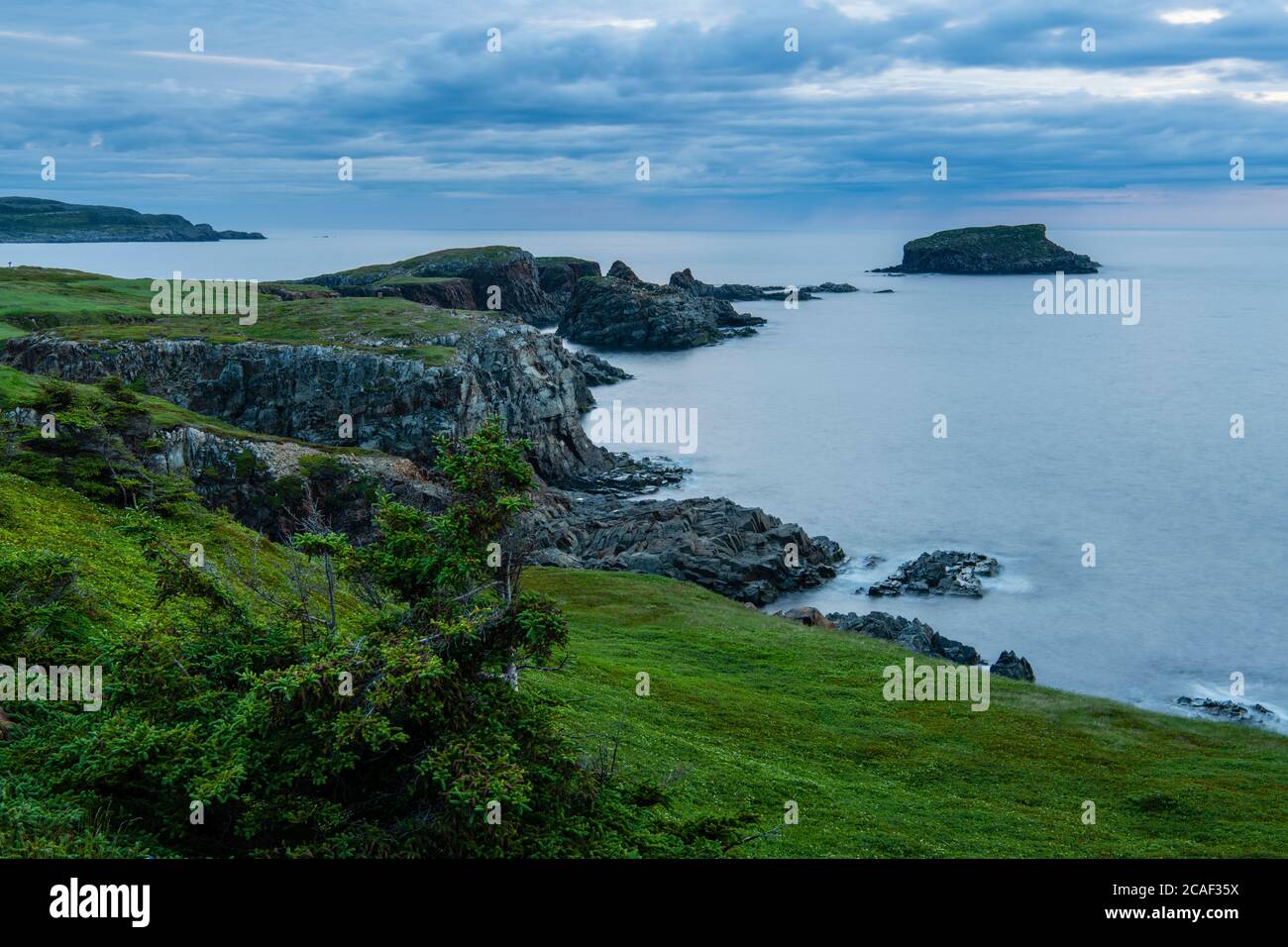 Küstenlinie im Morgengrauen, Elliston, Neufundland und Labrador NL, Kanada Stockfoto