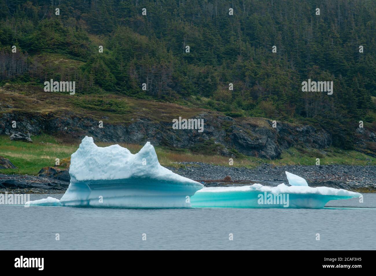Eisberg in der Bucht, St. Lunaire-Griquet, Neufundland und Labrador NL, Kanada Stockfoto