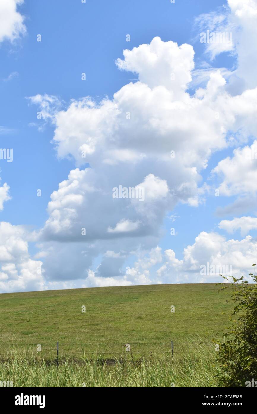 Grünen Wiese Stockfoto