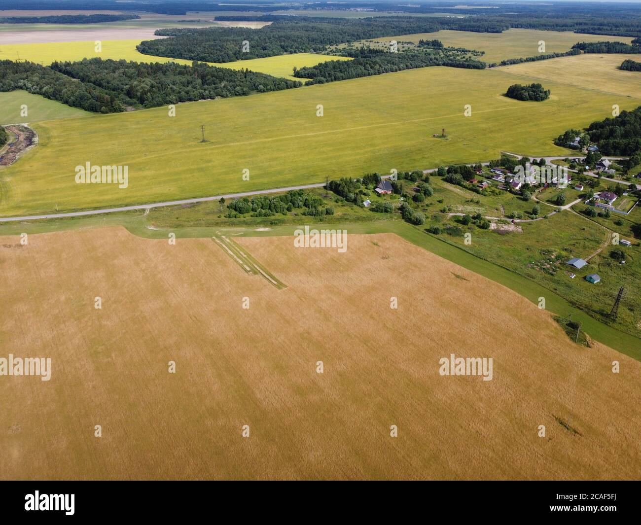 Goldenes Heufeld In Grüner Landwirtschaftlicher Landschaft Stockfoto