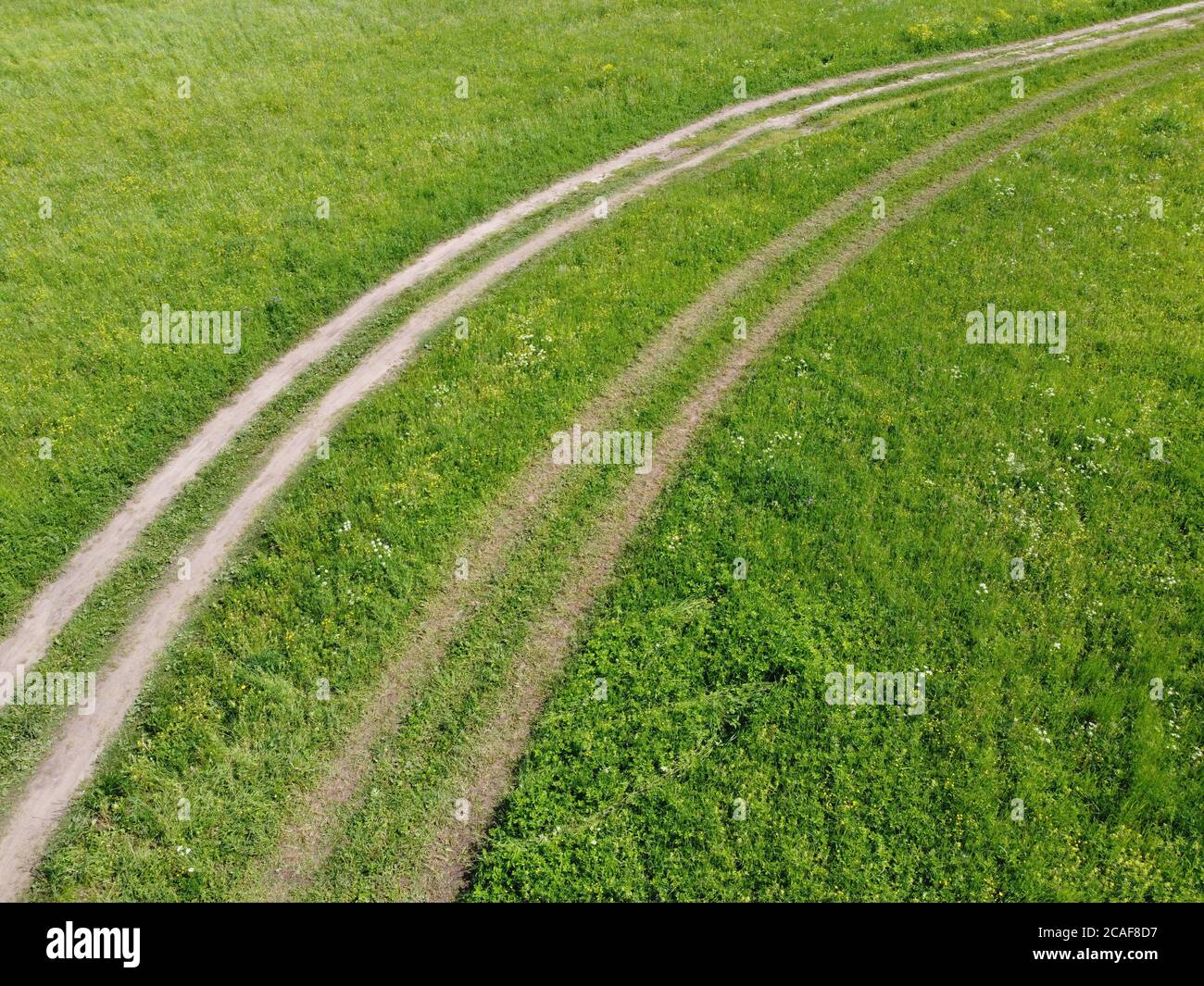 Sommerfeld mit Spuren von Auto auf Gras. Stockfoto