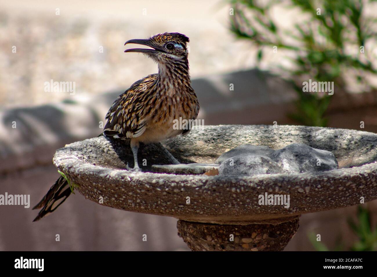 Aussee Bad Stockfotos Und Bilder Kaufen Seite 8 Alamy