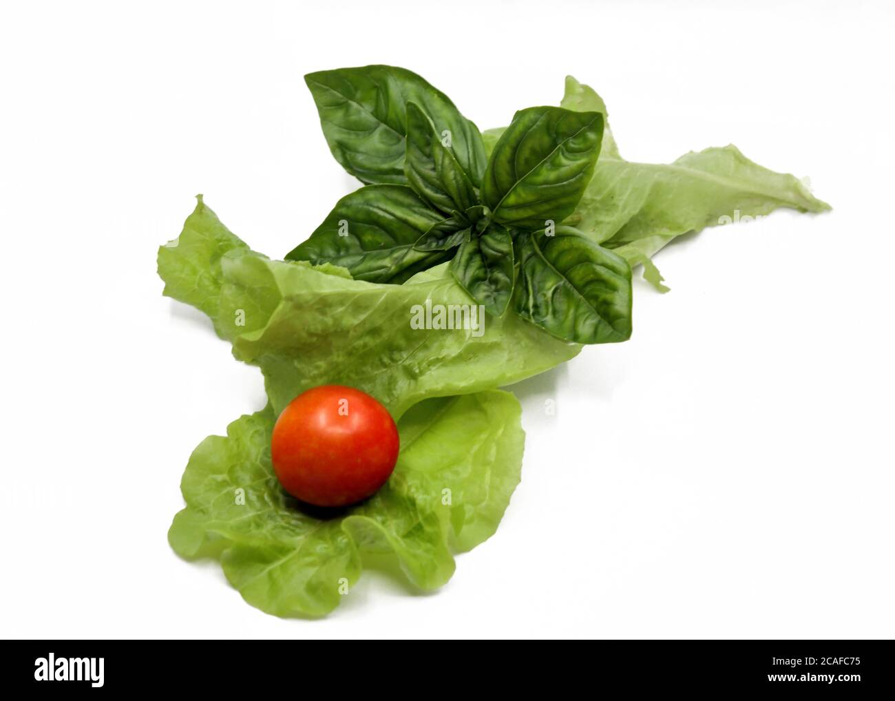 Gartenprodukte: Basilikum, Tomaten, Salat Stockfoto