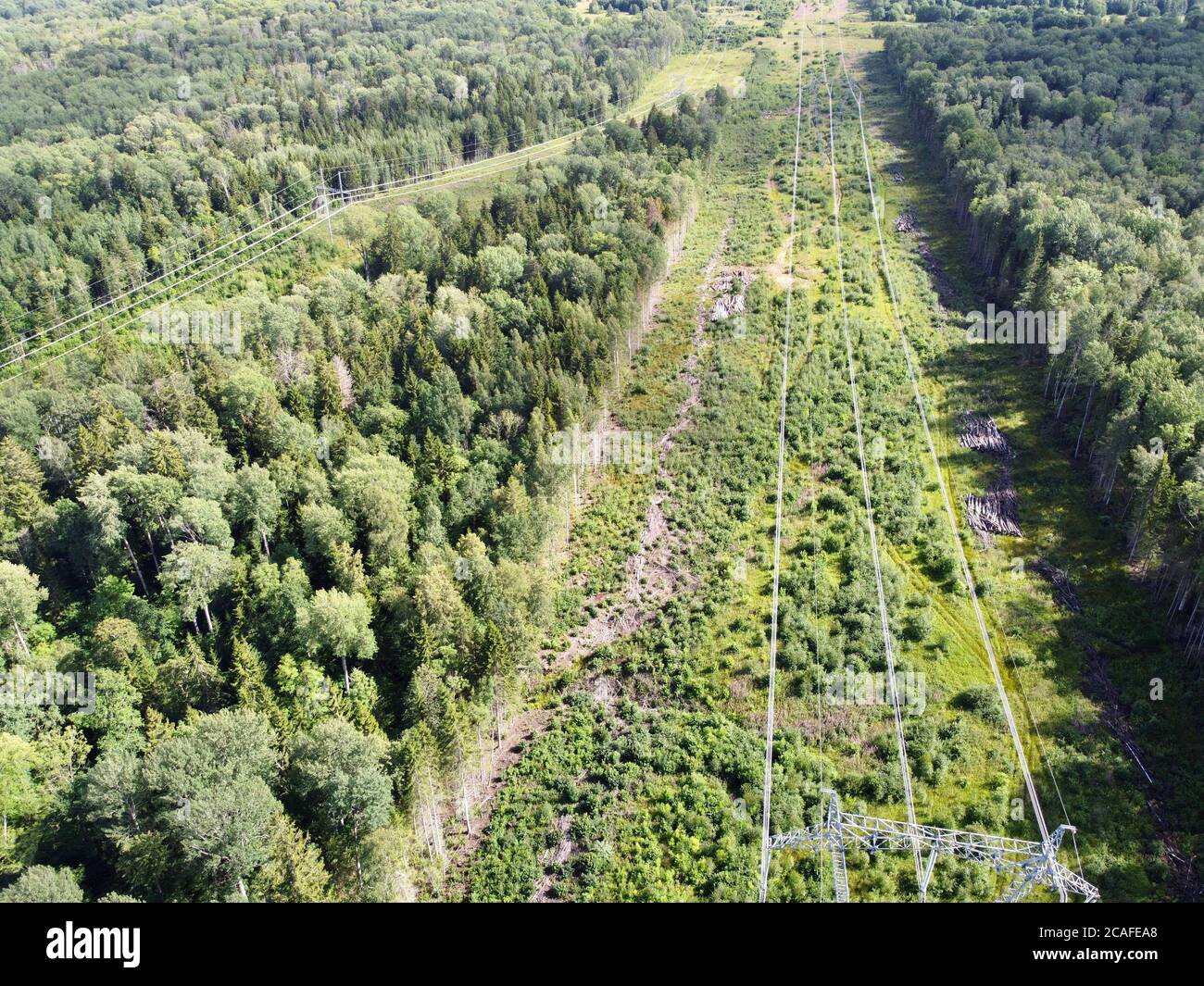 Luftaufnahme der Stromleitungen im Wald von oben nach unten. Stockfoto