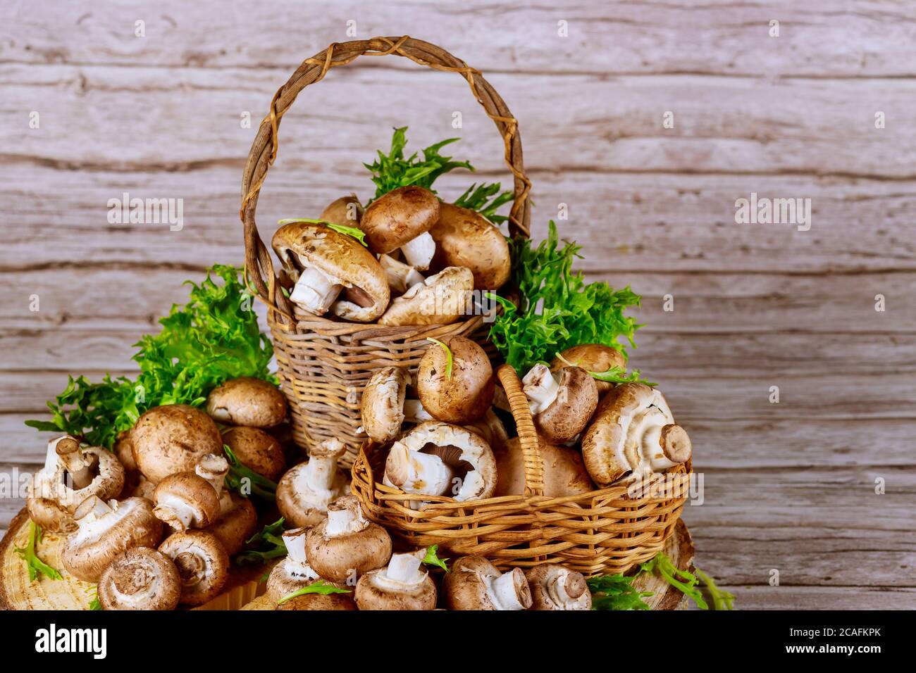 Korbkörbe voll mit frischen braunen Champignon-Pilzen auf Holzgrund. Stockfoto