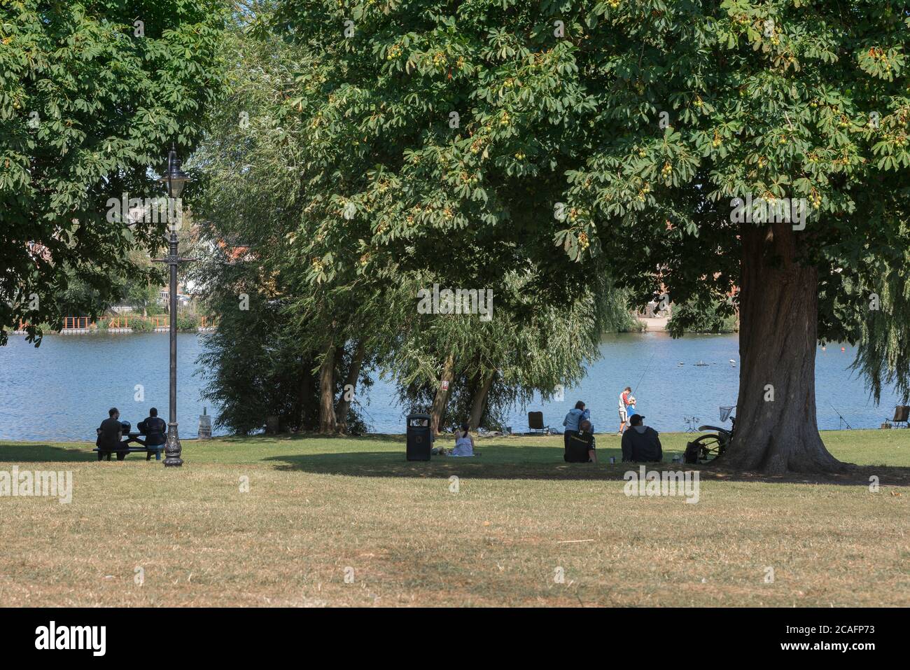 Park People Sommer, Blick im Sommer von Menschen entspannen neben der Mere (See) in Diss Park, Norfolk, East Anglia, England, Großbritannien Stockfoto