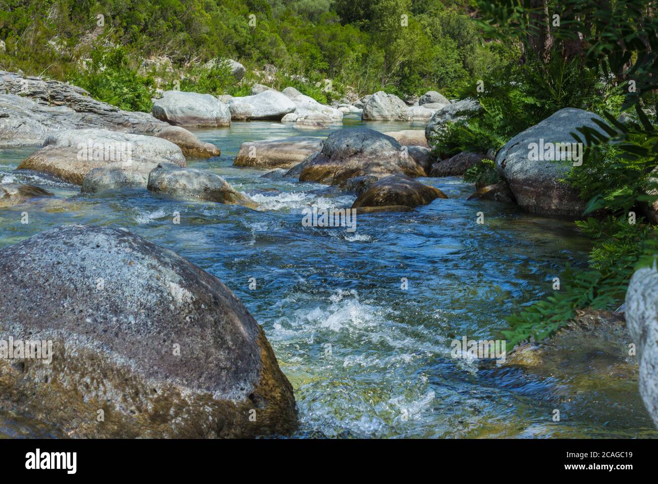 Ein steiniger Bach in den Bergen von Korsika Stockfoto