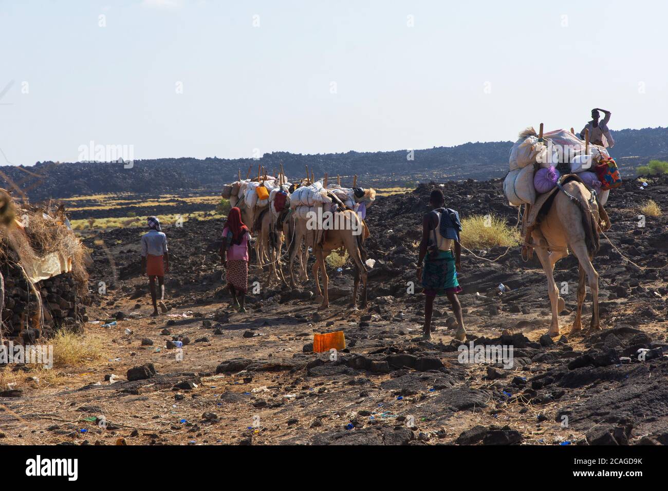 Erta Ale, Äthiopien - Nov 2018: Kamelkarawane, die von Einheimischen aus der Ferne in der Wüste geführt werden Stockfoto Erta Ale, Äthiopien - Nov 2018: Kamelkarawane, die von Einheimischen aus der Ferne in der Wüste geführt werden Stockfoto