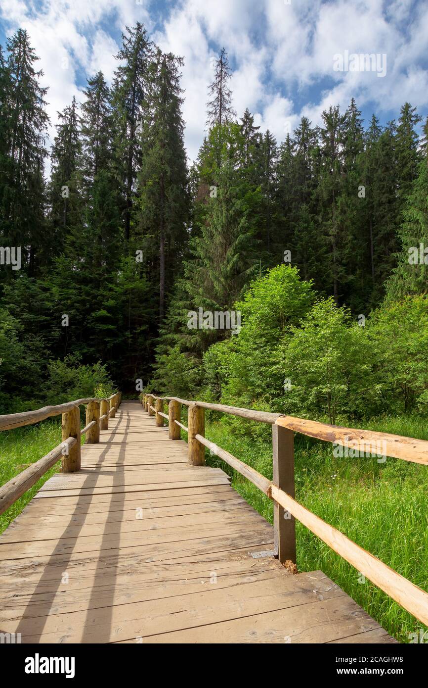 Holzbrücke über dem Bach unter den Bäumen. Gehweg durch den Wald. Lage synevyr Nationalpark, ukraine Stockfoto