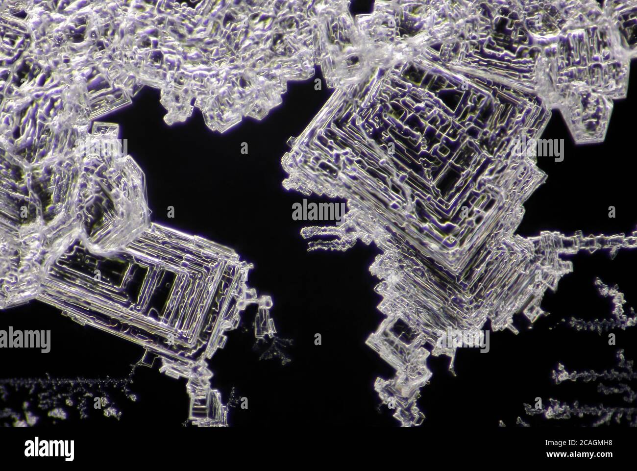 Mikroskopische Ansicht von Natriumchloridkristallen. Dunkelfeldbeleuchtung. Stockfoto