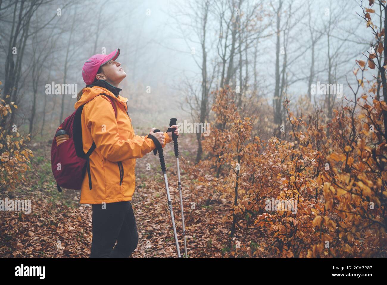 Dressed leuchtend orange Jacke junge weibliche Backpacker genießen die Natur. Sie läuft im Herbst Nebelwald mit Trekkingstöcken. Aktive Menschen und ein Stockfoto