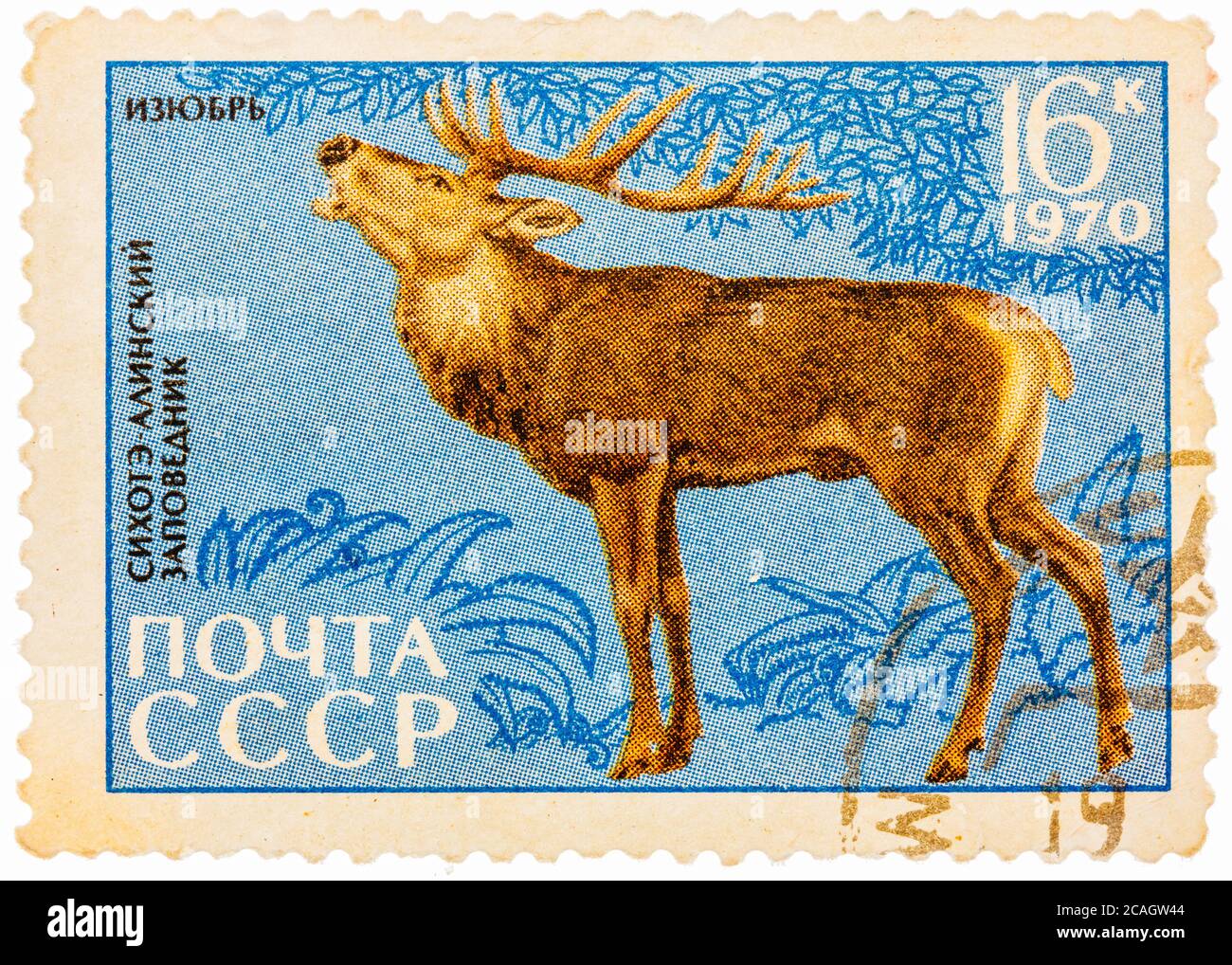 Die in der UdSSR gedruckte Briefmarke zeigt das Bild eines Cervus elaphus xanthopygus, 'Sichote-Alin Reserve' Serie Stockfoto