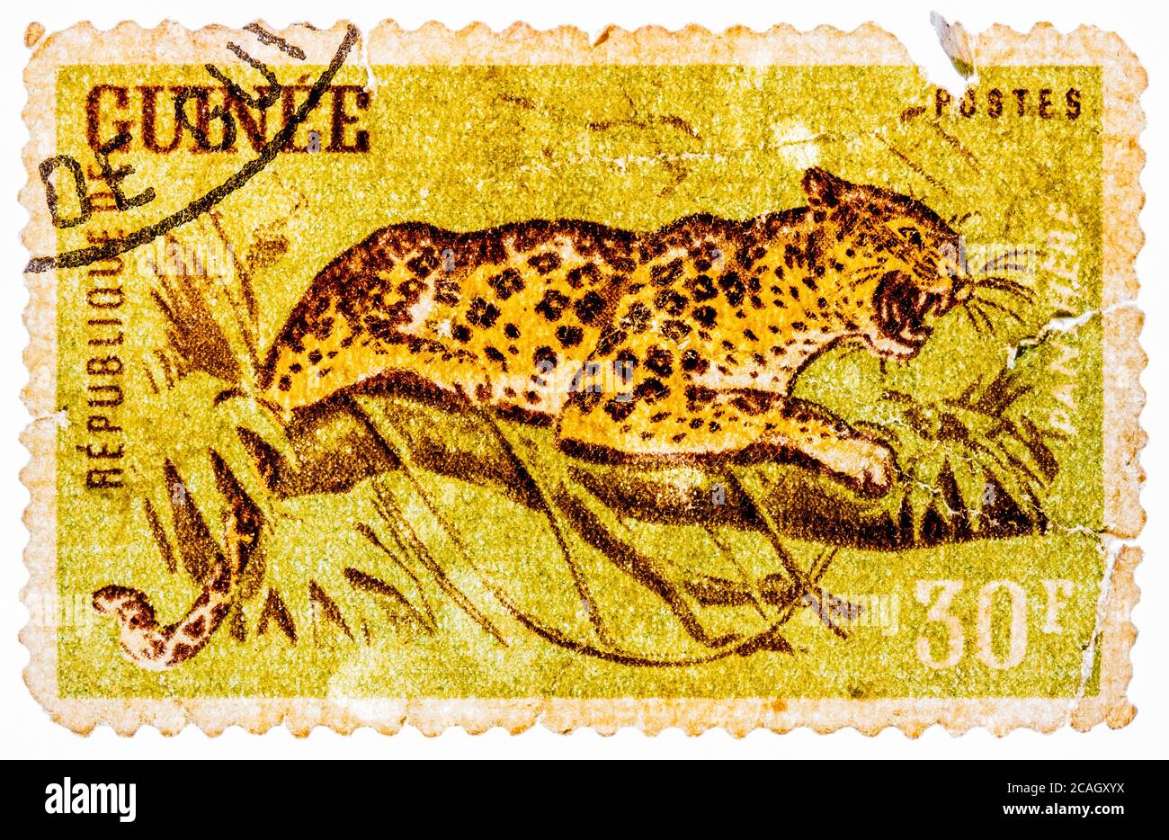Stempel aus der Ausgabe 'Wild Animals' in Guinea zeigt einen Leoparden (Panthera pardus) Stockfoto