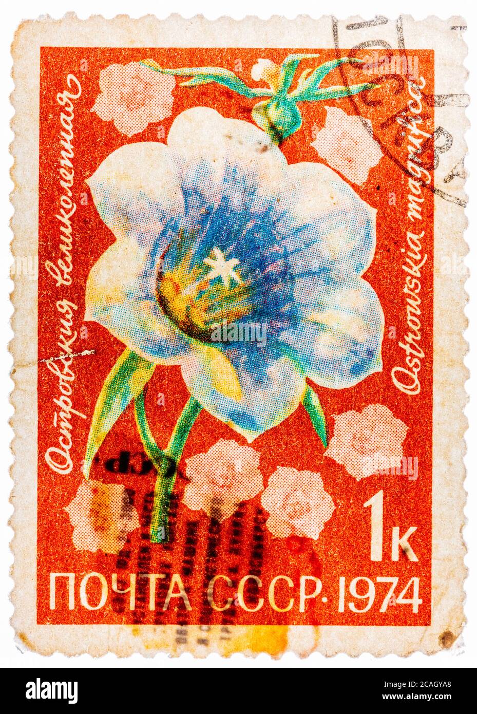 RUSSLAND - UM 1974: Morning Glory ist ein gebräuchlicher Name für über 1,000 Arten von blühenden Pflanzen in der Familie Convolvulaceae, um 1974 Stockfoto