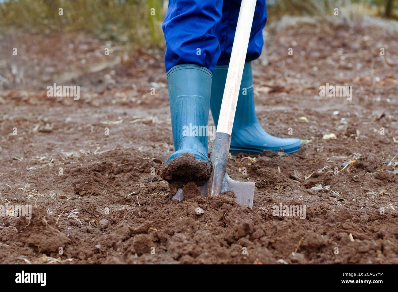 Graben spaten boden garten boot graben Fotos und Bildmaterial in