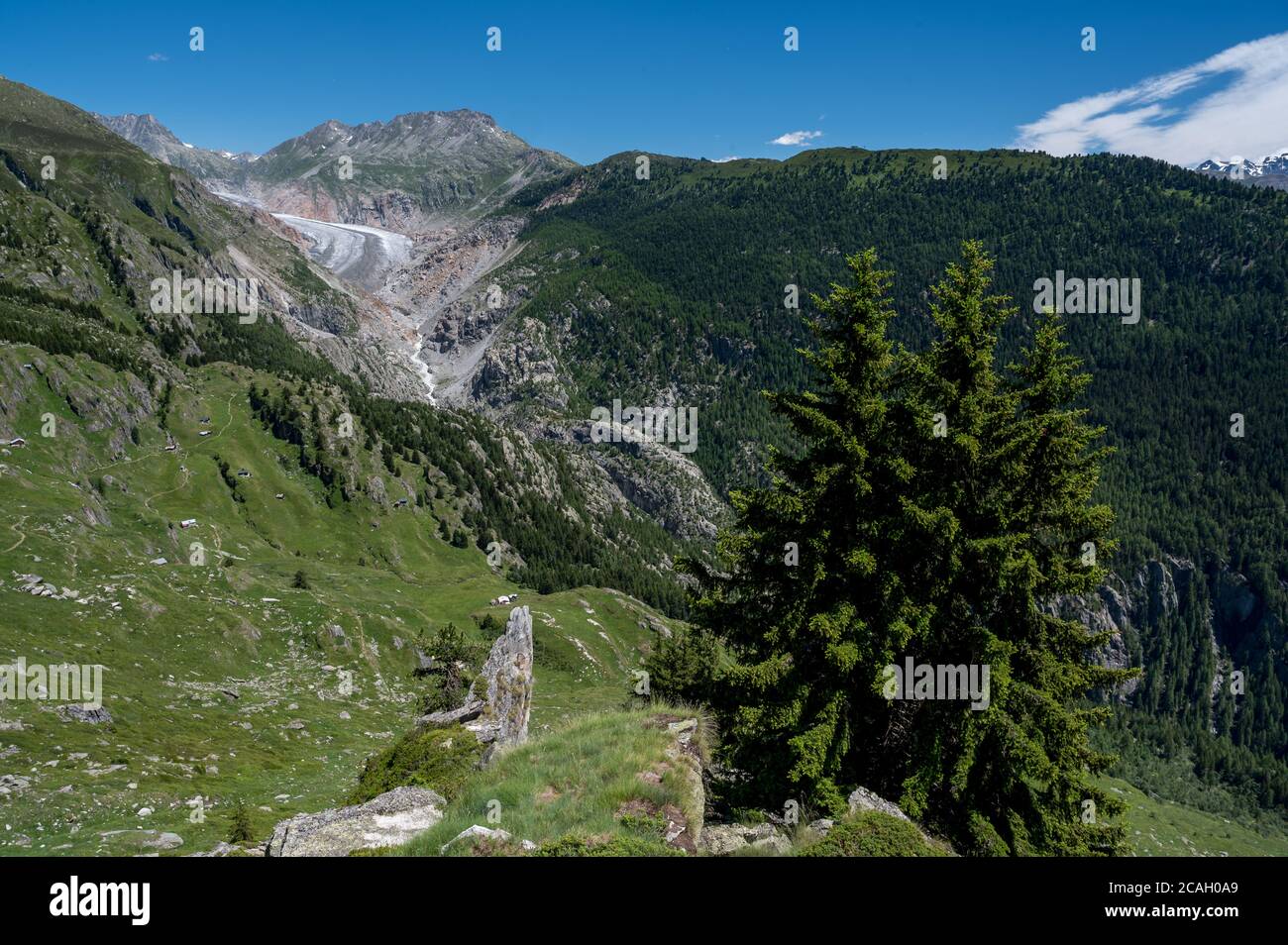 Zunge des mächtigen Aletschgletschers im Wallis Stockfoto