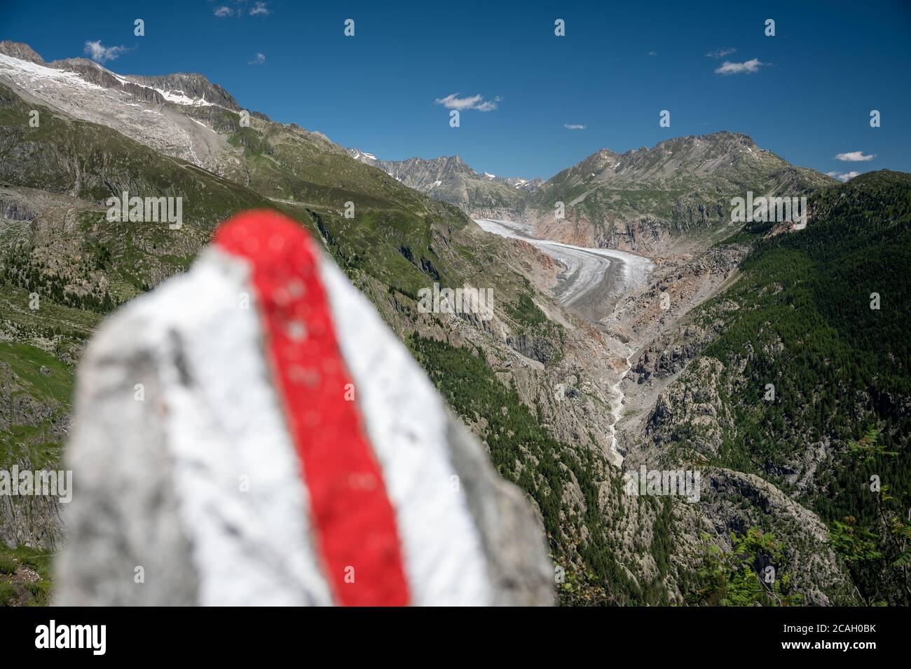 Bergwanderweg mit Aletschgletscher in der Ferne Stockfoto