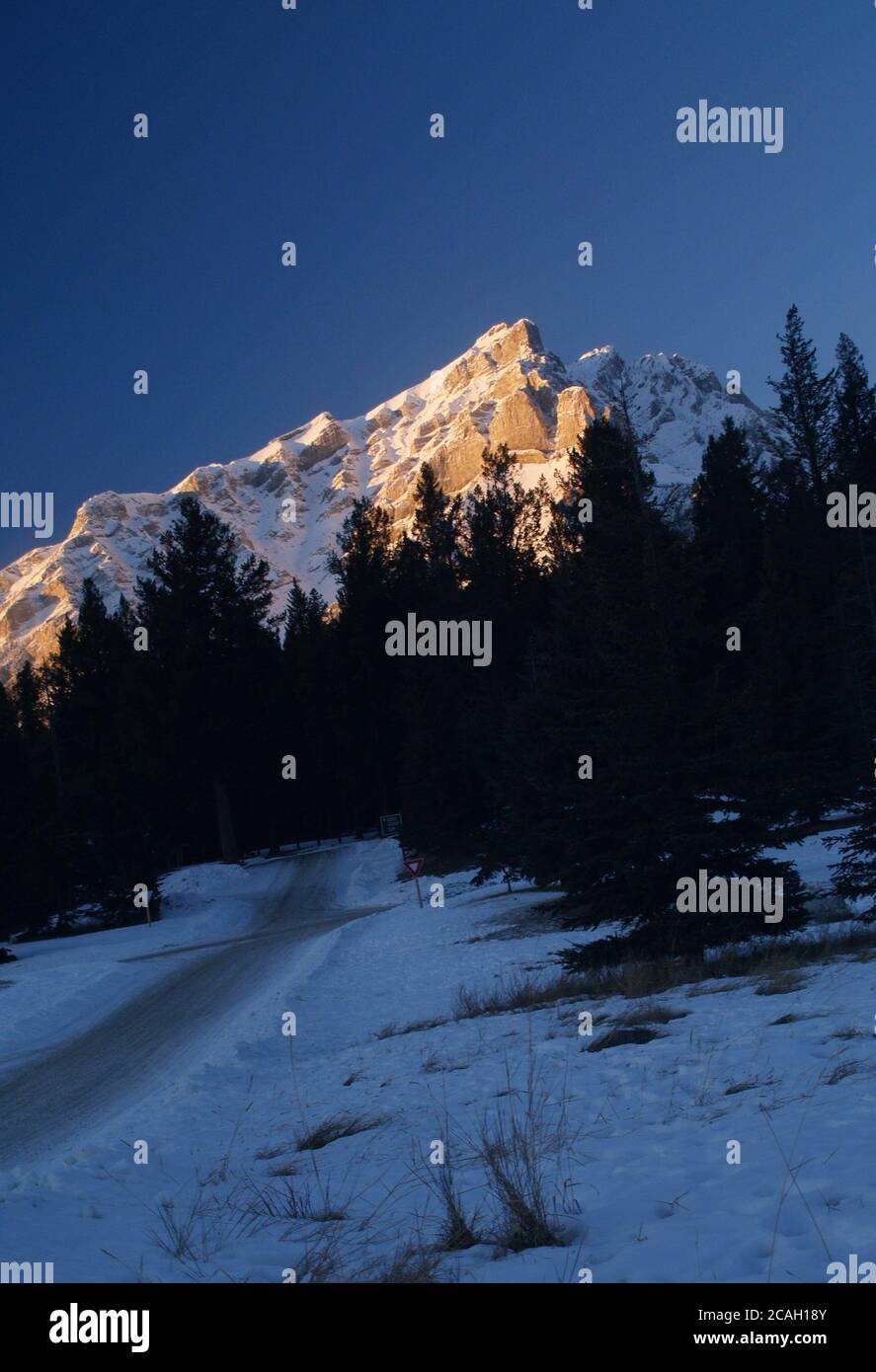 Mount Rundle im Winter Abendlicht von Tunnel Mountain, Banff, Canadian Rockies aufgenommen. Stockfoto