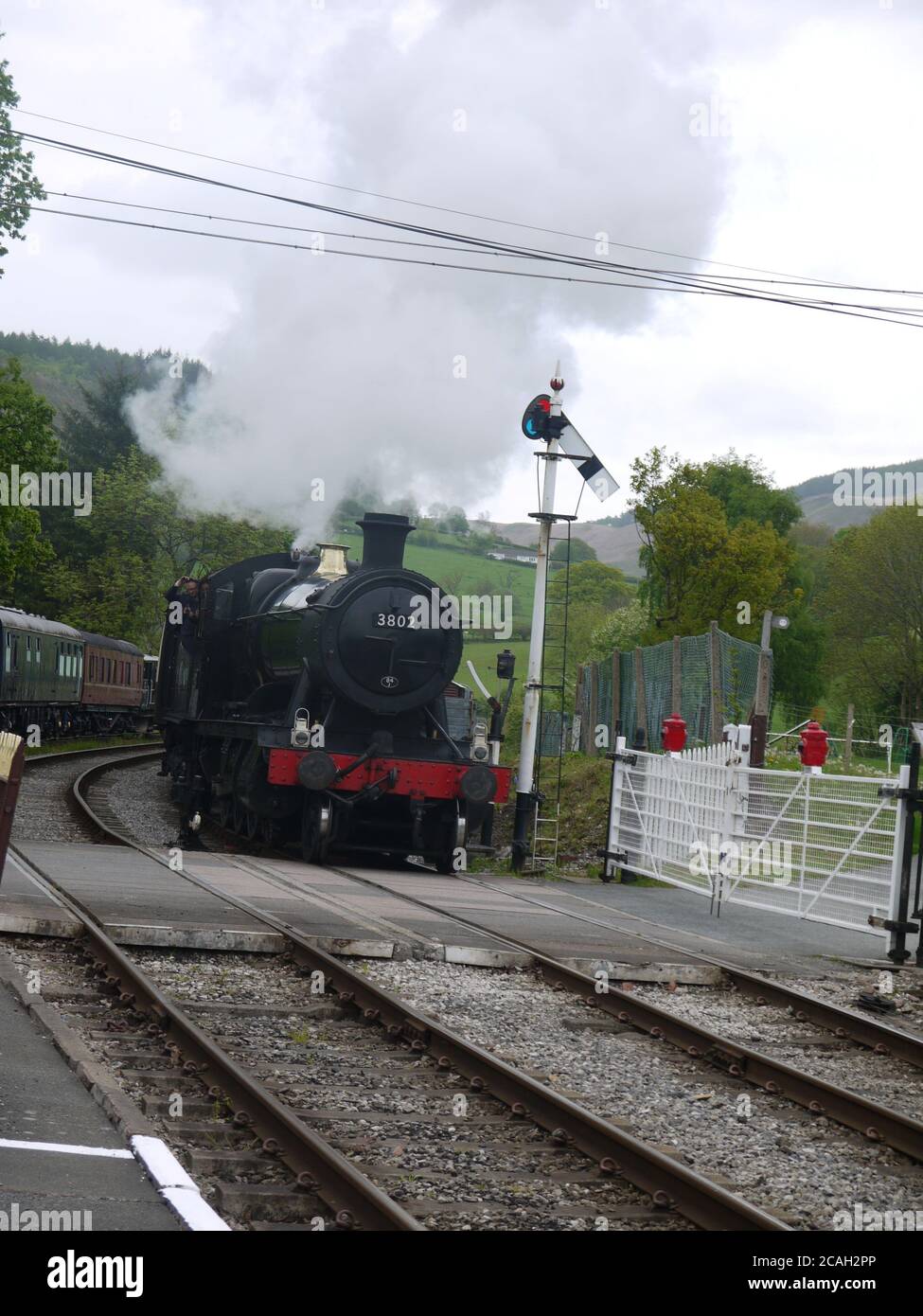 Dampfzug in Wales Stockfoto