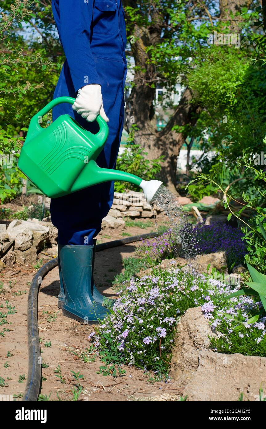 Gärtnerin blumen gießen Fotos und Bildmaterial in hoher Auflösung Alamy