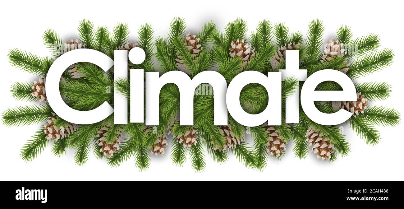 Klima im weihnachtlichen Hintergrund - Kiefernzweige Stockfoto