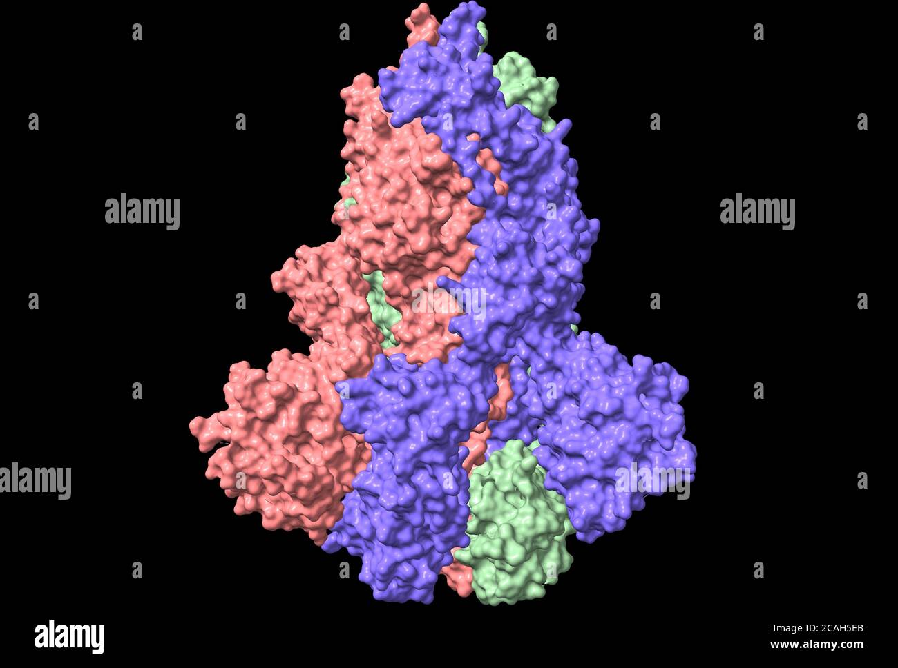 Struktur des SARS-CoV-2 Spike Glykoproteins, Oberflächenmodell, schwarzer Hintergrund, 3D-Darstellung isoliert Stockfoto Struktur des SARS-CoV-2 Spike Glykoproteins, Oberflächenmodell, schwarzer Hintergrund, 3D-Darstellung isoliert Stockfoto