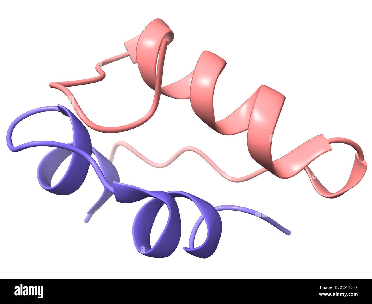 Ein 3D-Cartoon-Modell der rekombinanten menschlichen Insulin quaternären Strukturketten A und B, weißer Hintergrund Stockfoto