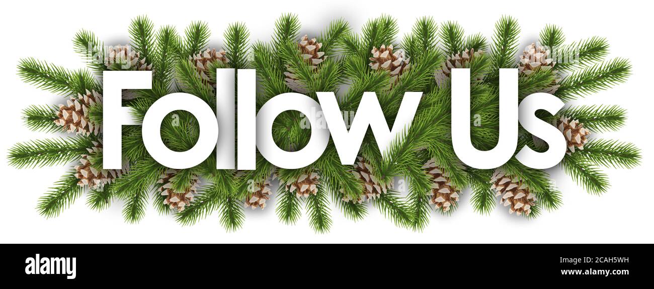 Folgen Sie uns im weihnachtlichen Hintergrund - Kiefernzweige Stockfoto