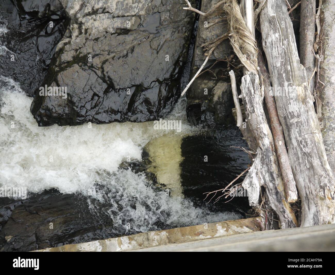 Wasser rauscht über Felsen in einem Fluss Stockfoto