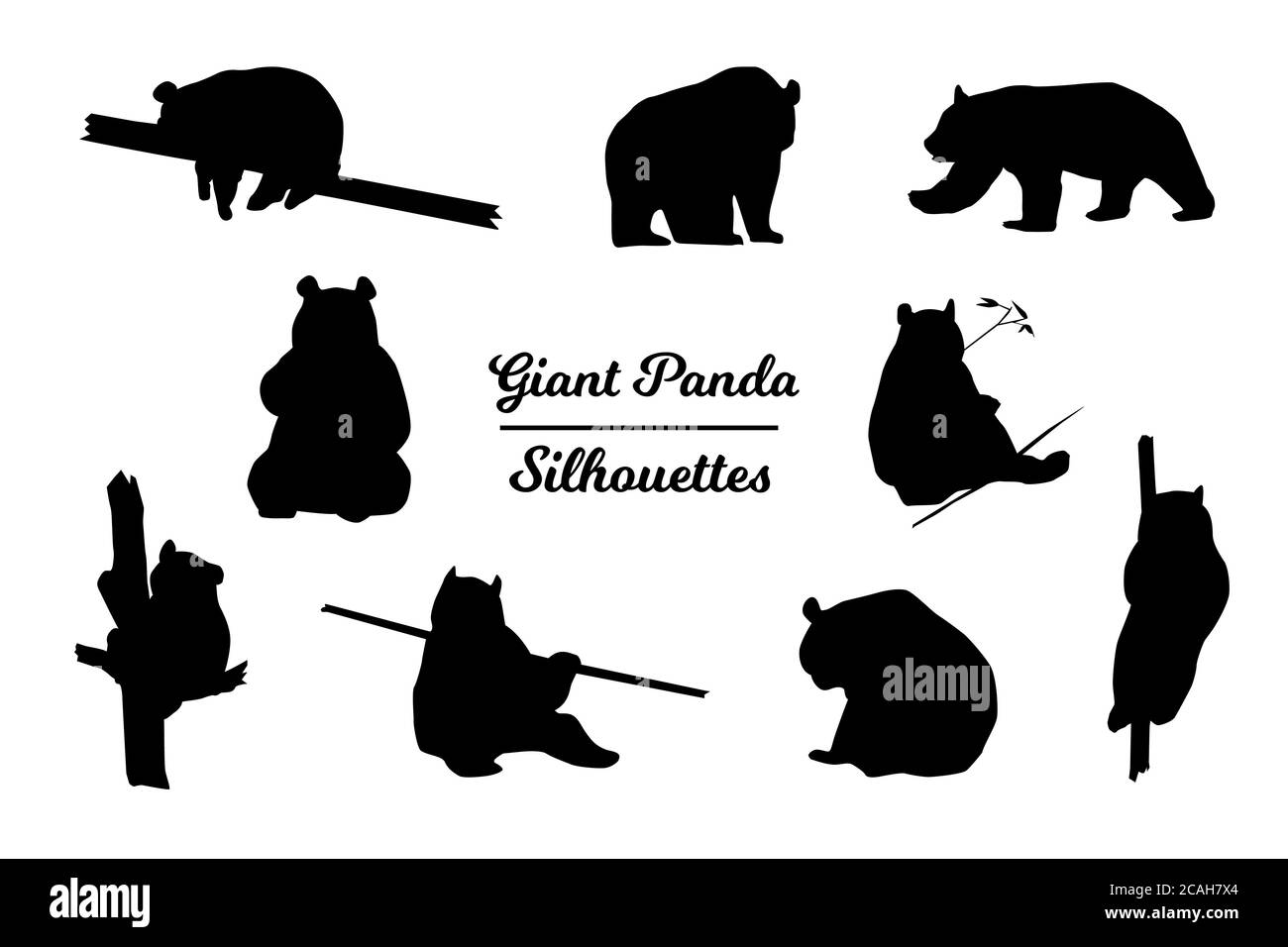 Riesige Panda Tier Silhouetten. Schwarz-weiße Umrandung. Stockfoto