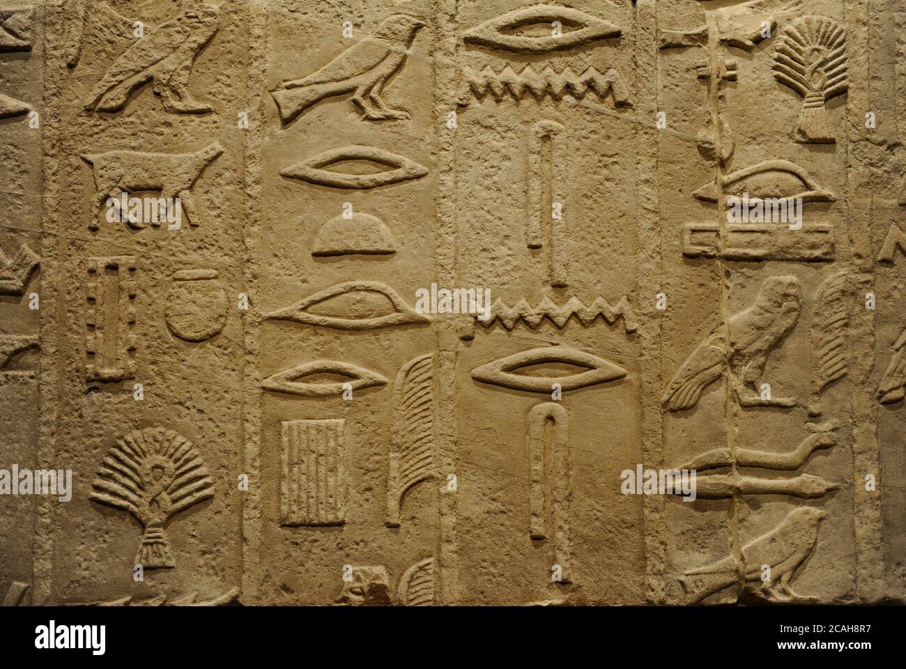 Das Alte Ägypten. Detail der hieroglyphen Inschriften auf der Grabkammer der Metjen oder Metjen (hoher Beamter). 4. Dynastie, c. 2575 V. CHR. Kalkstein. Mastaba 6. Nekropole des Nordens Sakkara. Altes Königreich. Neues Museum (Neues Museum). Berlin, Deutschland. Stockfoto