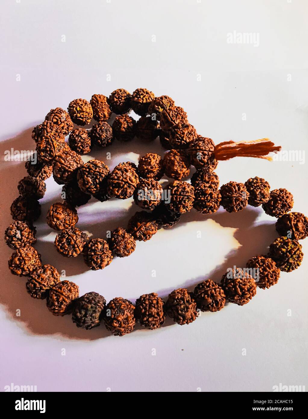 Rudraksha japa Mala oder Gebetsperlen aus den Samen des Rudraksha-Baumes auf weißem Hintergrund, 108 Perlen. Stockfoto