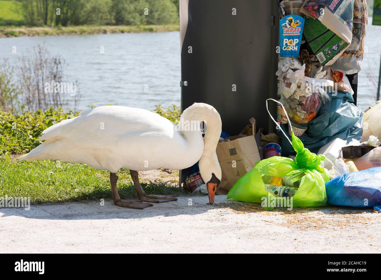 Abfall überläuft aus Mülltonnen in Deutschland Stockfoto