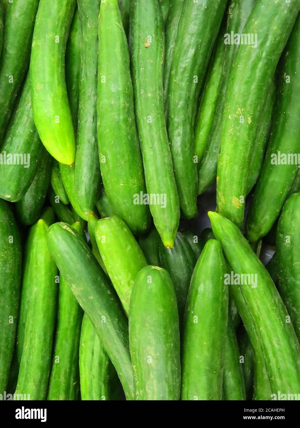 Vertikale Aufnahme von frischen grünen Gurken Stockfoto