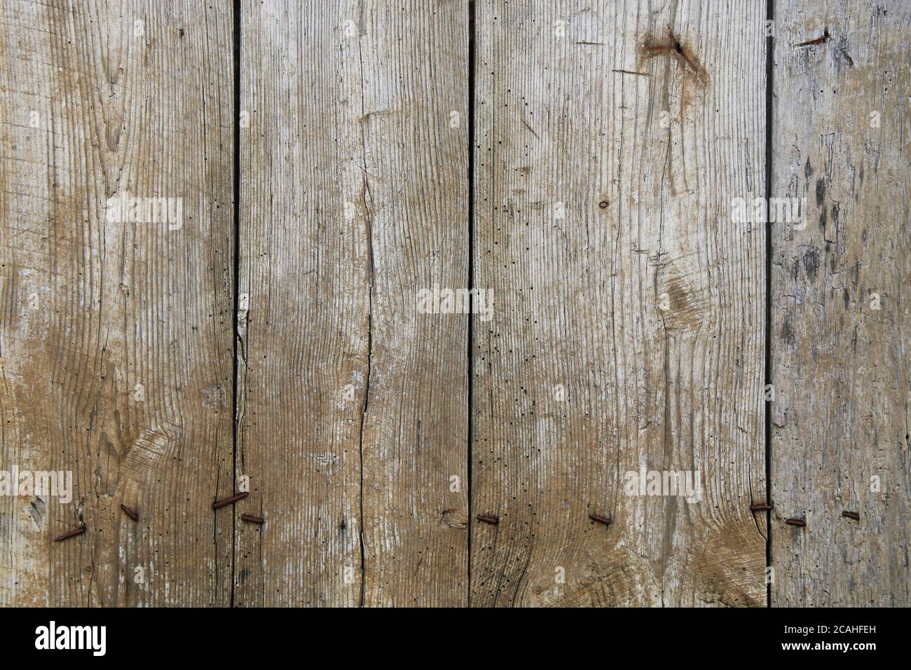 Alte vintage knotty Nägel verwittert Alter Holzzaun Board vertikal Ansicht geeignet für Website Hintergrund Marketing Hintergründe Backdrops Architektur ar Stockfoto