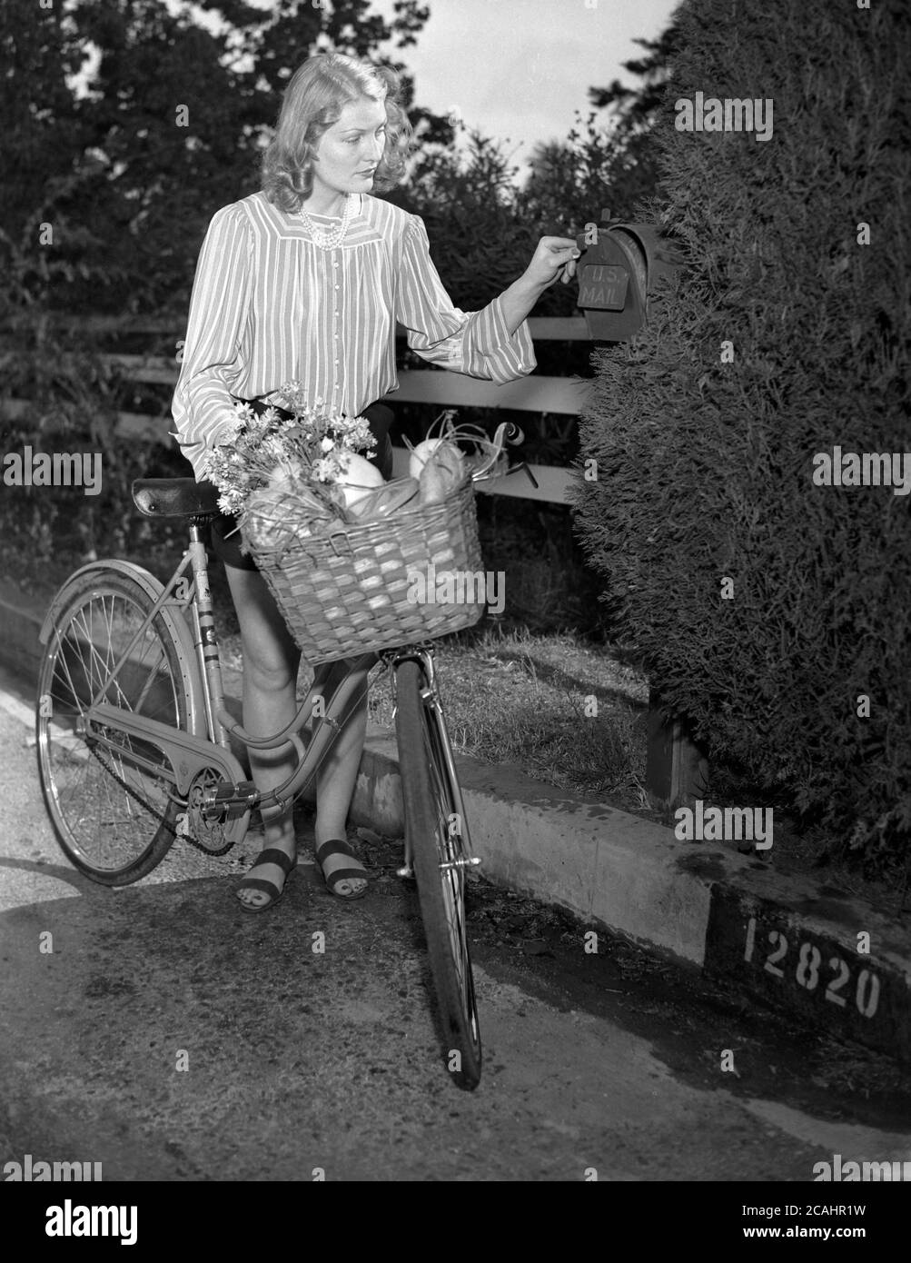 Um 1940er Jahre, junge Dame mit ihrem Fahrrad mit Korb mit Gemüse und Blumen, überprüfen einen Briefkasten auf einem Gartentor, USA. Stockfoto