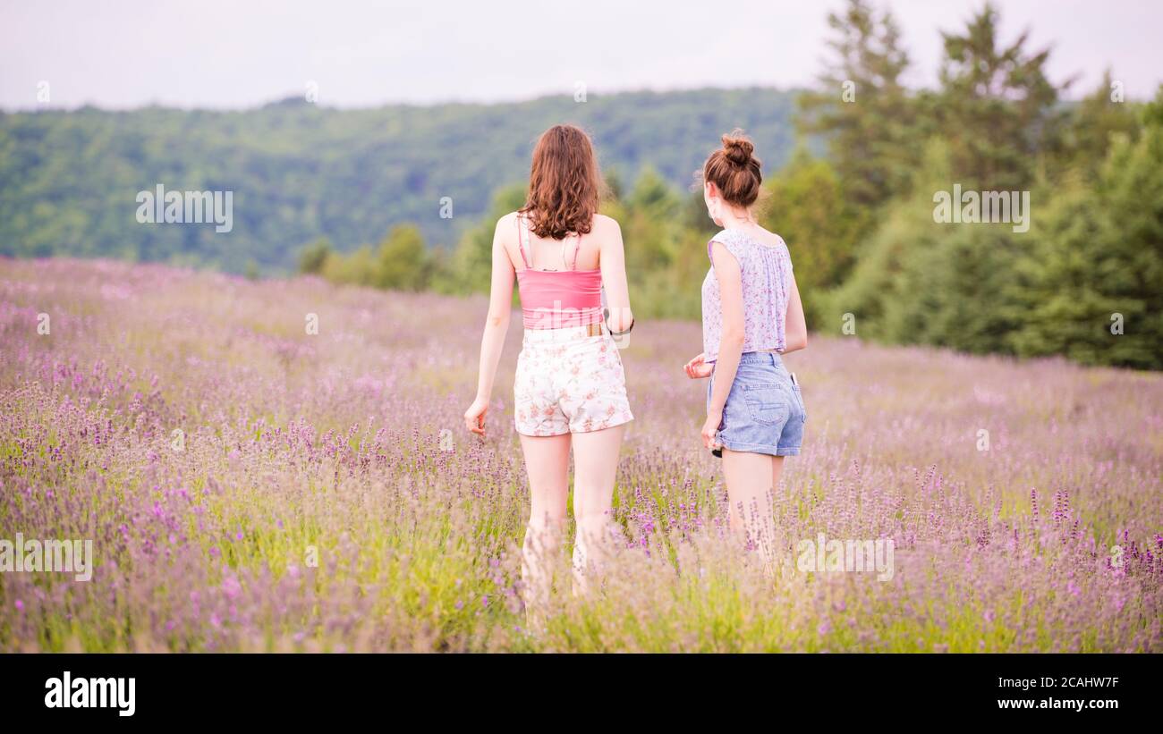 Magog, Kanada - Juli 26 2020: Junge Mädchen stehen im Lavendelfeld Stockfoto