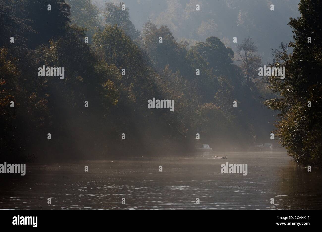 Lichtstrahlen schneiden durch den Nebel und in die Themse an einem schönen Herbsttag in der Nähe von Maidenhead Stockfoto