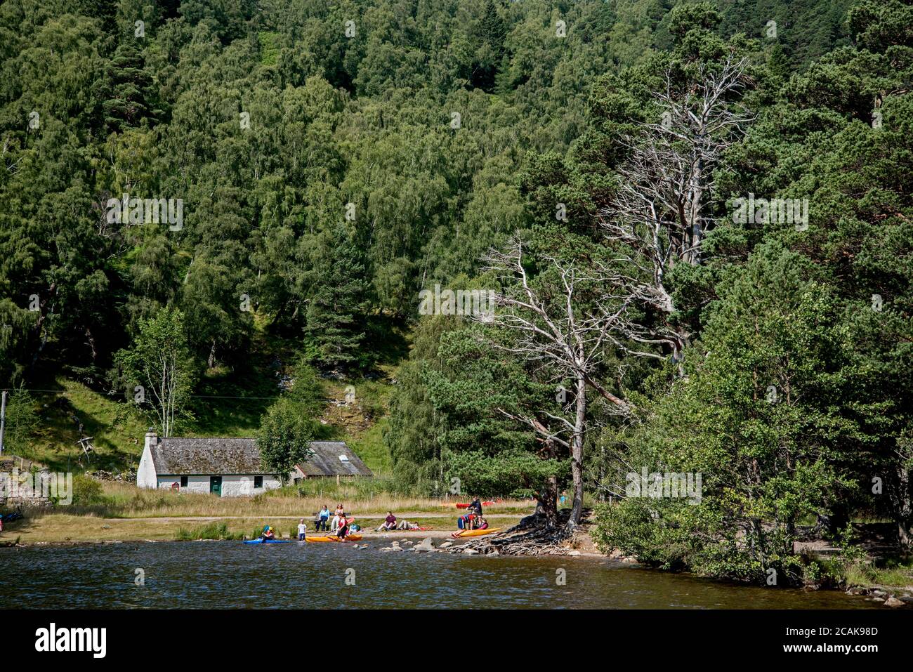 Besucherzentrum an der Seite von Loch an Eilein auf dem Rothiemurchus Estate bei Aviemore im Cairngorms National Park, Schottland, Großbritannien. Stockfoto