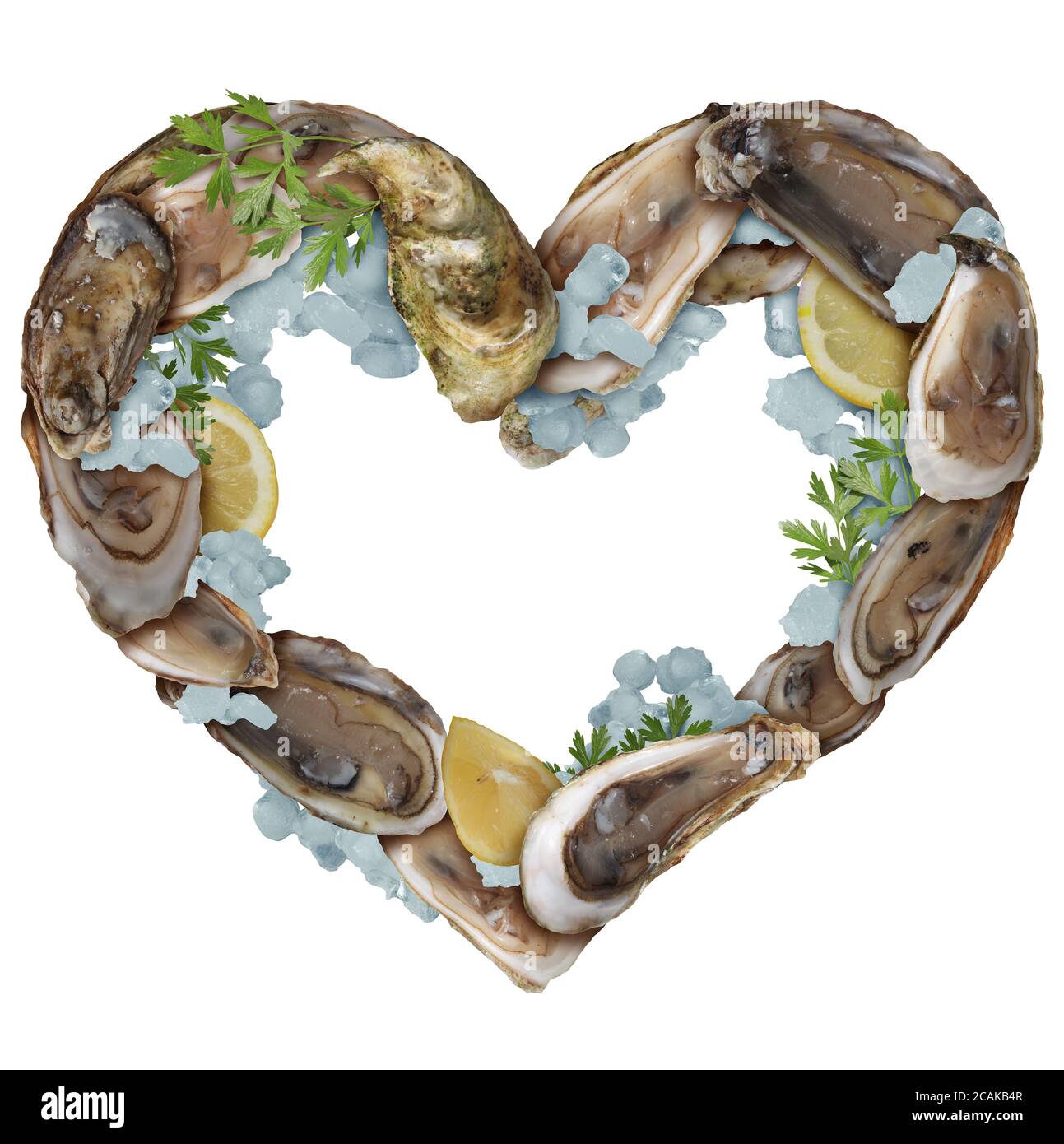 Austern lieben als eine Gruppe von Austernschalen mit Zitronenscheiben und Eis als Gourmet-Essen und Aphrodisiakum isoliert auf weißem Hintergrund. Stockfoto