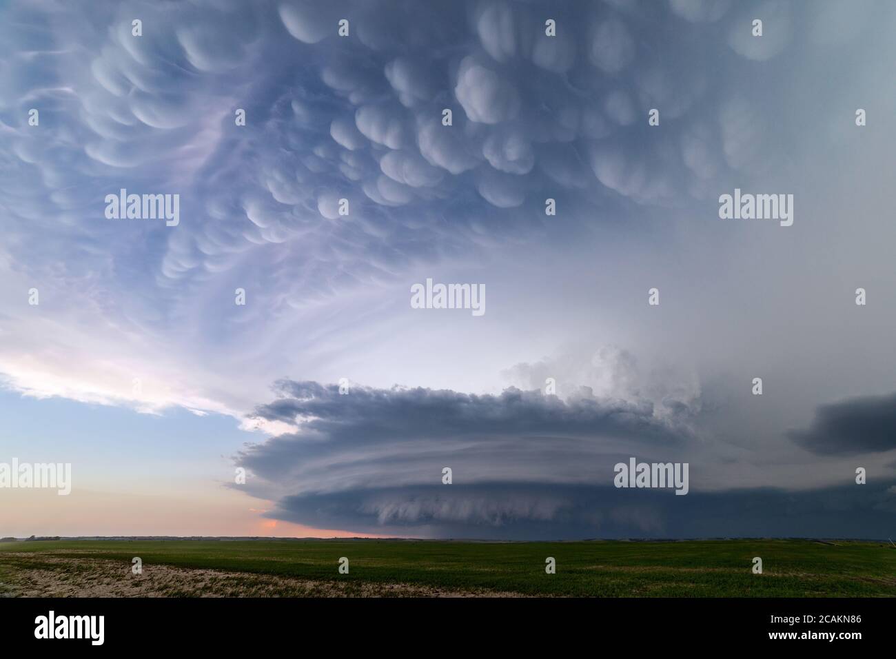 Ein supercell-Gewitter mit Mammatuswolken in der Nähe von Arnold, Nebraska Stockfoto