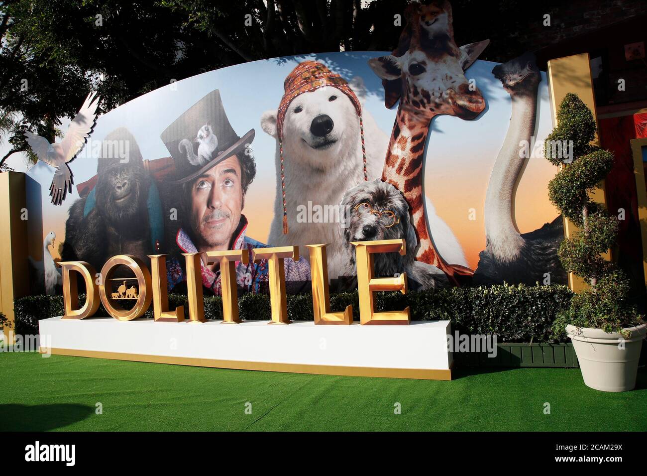 LOS ANGELES - JAN 11: Allgemeine Atmosphäre bei der 'Dolittle' Premiere im Village Theatre am 11. Januar 2020 in Westwood, CA Stockfoto