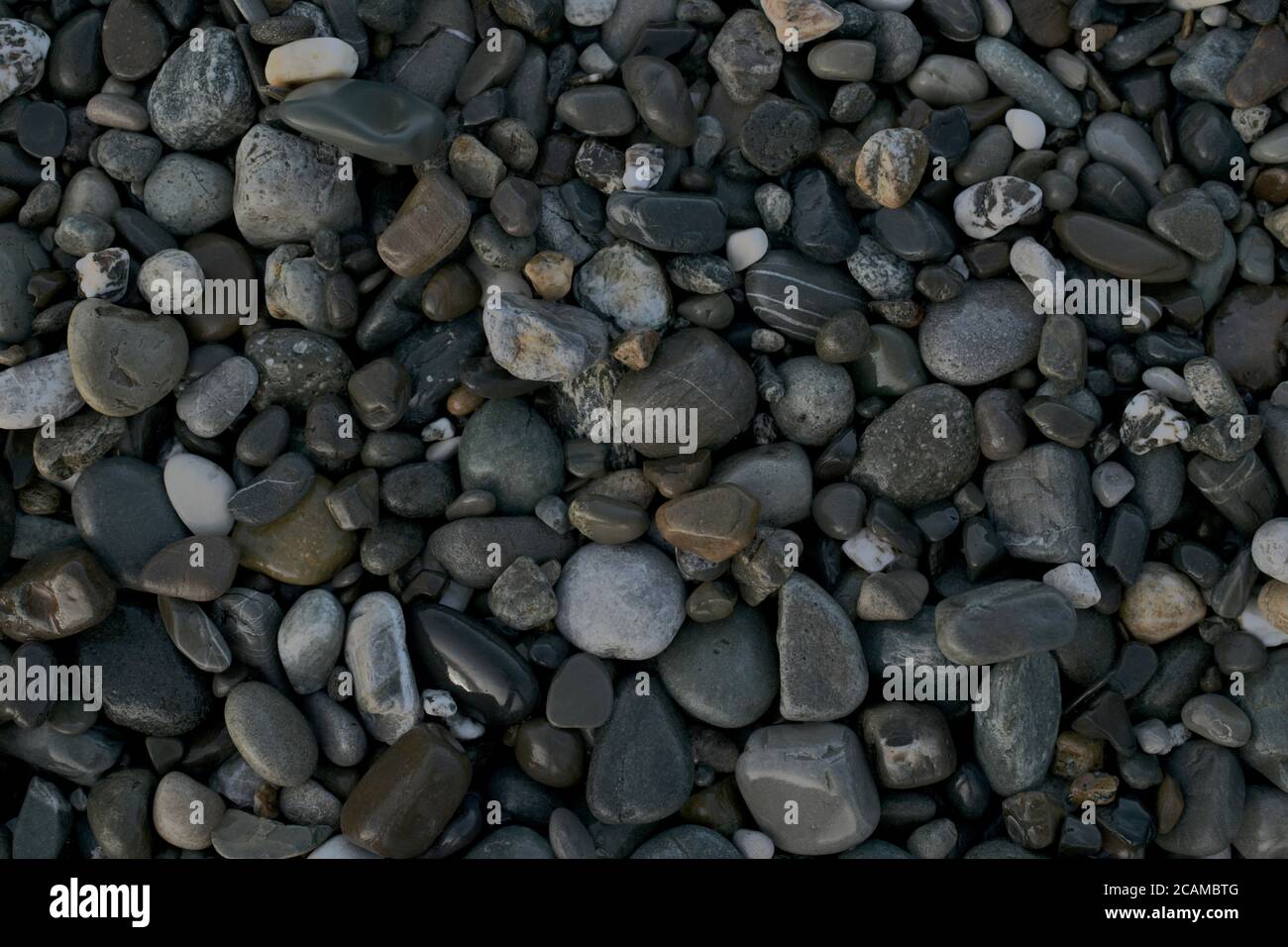 Der Hintergrund ist aus meernassen Kieselsteinen, in grauer Farbe, in verschiedenen Tönen. Stockfoto