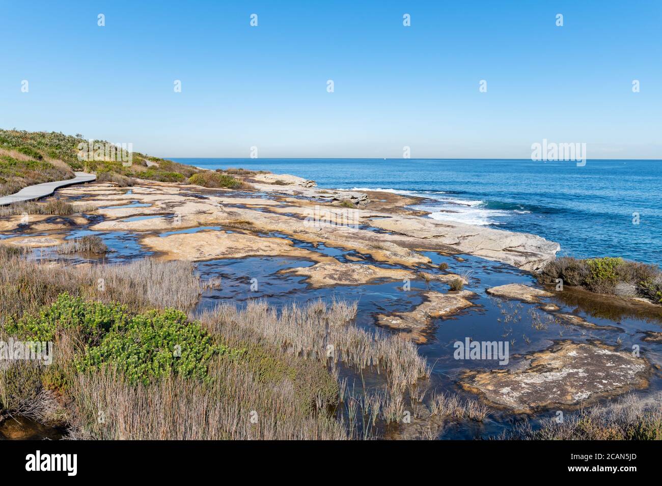 Wunderschöner Wasserpuddle auf natürlichem Sandsteinboden bei Henry Head Laufstrecke Stockfoto