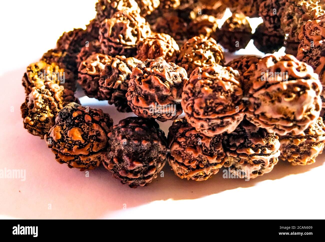 Rudraksha japa Mala oder Gebetsperlen aus den Samen des Rudraksha-Baumes auf weißem Hintergrund, 108 Perlen. Stockfoto